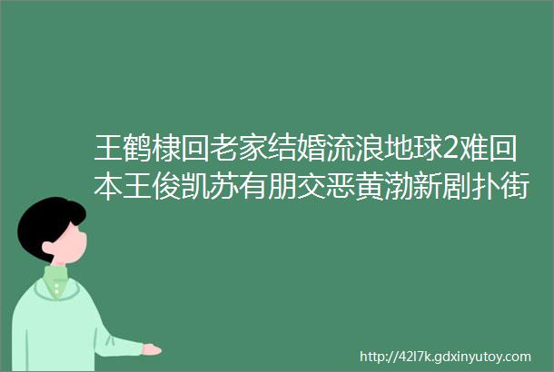 王鹤棣回老家结婚流浪地球2难回本王俊凯苏有朋交恶黄渤新剧扑街徐璐张铭恩复合